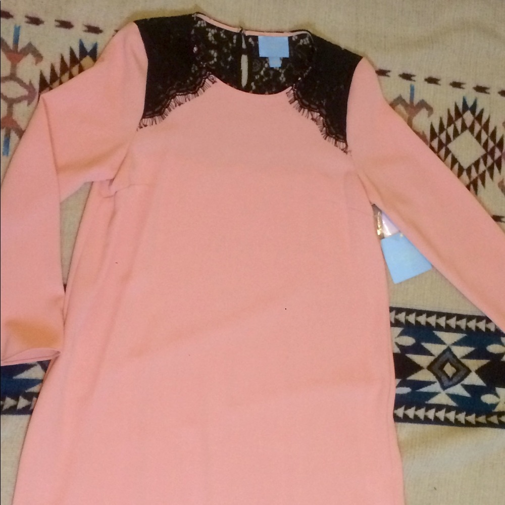 CeCe by Cynthia Steffe Shift Dress